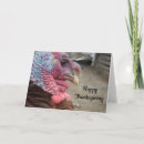 Search for vegan thanksgiving cards Vegetarian