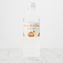 Search for pumpkin patch home living Orange