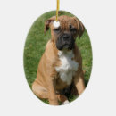 Recherche de noël de boxeur Animal familier