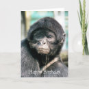 Search for cute spider cards Animal