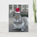 Recherche de écureuil père noël cartes postales Animal