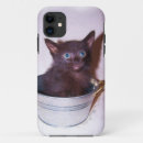 Search for little kitten iphone cases For kids