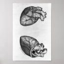 Search for cardiology art Medical