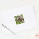 Search for groundhogs stickers Nature