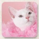 Search for feather coasters Feline