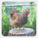 Search for homestead stickers Farming