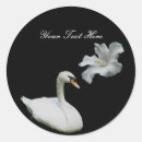 Recherche de cygne blanc autocollants Animal
