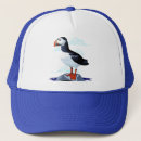 Search for puffin hats Wildlife