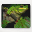 Search for frog mousepads Amphibians