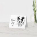 Search for border collies cards Dog lover
