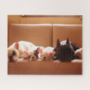 Recherche de french bulldog puzzles Animaux domestiques