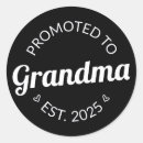 Search for promoted to grandma stickers 2025