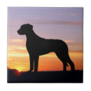 Recherche de ridgeback rhodesian Silhouette