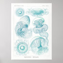 Search for jellyfish posters Retro