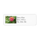 Search for zinnia return address labels Floral