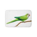Search for monk parrot Quaker