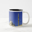 Search for the citadel mugs Mosque
