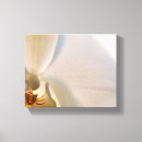 Search for white orchid canvas prints Flowers
