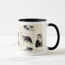 Search for kitten playing mugs Feline