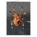 Recherche de araignée veuve noire cartes postales Rouge