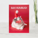 Search for bah humbug christmas cards Cat