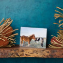 Recherche de cheval islandais plaques Troupeau
