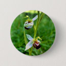 Search for orchids buttons Nature