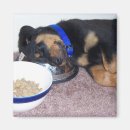 Recherche de drôles de chien magnets Pour animaux