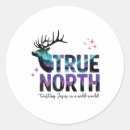 Search for wild life stickers Camping