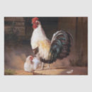 Search for chicken rooster tissue paper Poultry