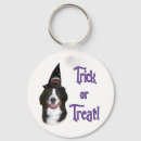 Search for berner accessories Animals