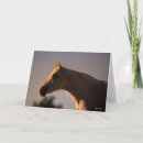 Search for backlit cards Animal