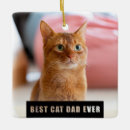 Search for cat dad ornaments Xmas