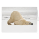 Search for hudson bay postcards Animal