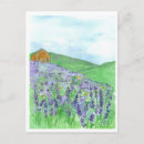 Search for honey bee postcards Bees