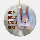 Search for funny squirrel ornaments Rodent