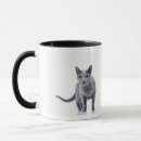 Search for russian cat mugs Feline
