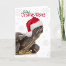 Search for belated christmas cards Turtle