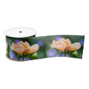 Recherche de couleur pêche rubans Rose