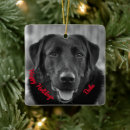 Recherche de black dog ornaments Chiot