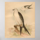 Recherche de copies vintages art Historique