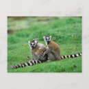 Search for antananarivo postcards Africa