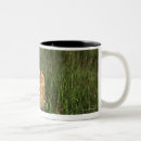 Search for bengal tiger mugs Horizontal