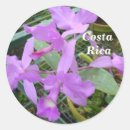Search for botany stickers Orchid
