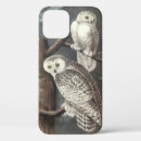 Search for snowy owls iphone cases Birds