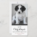 Recherche de chiot blanc vœux cartes Noir