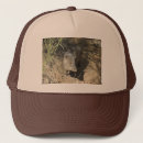 Search for tucson hats Desert