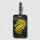 Recherche de hippocampe bagages étiquettes Sable