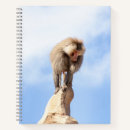 Search for baboon notebooks Monkey