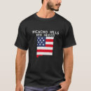 Search for picacho Travel